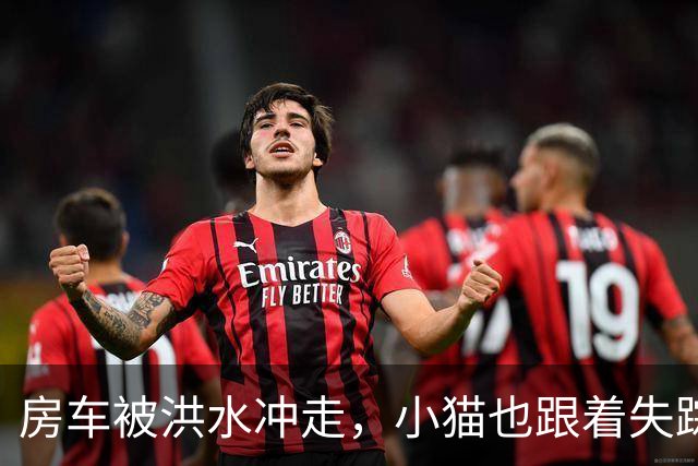 房车被洪水冲走，小猫也跟着失踪，8天后它突然回家了，全家人都哭了