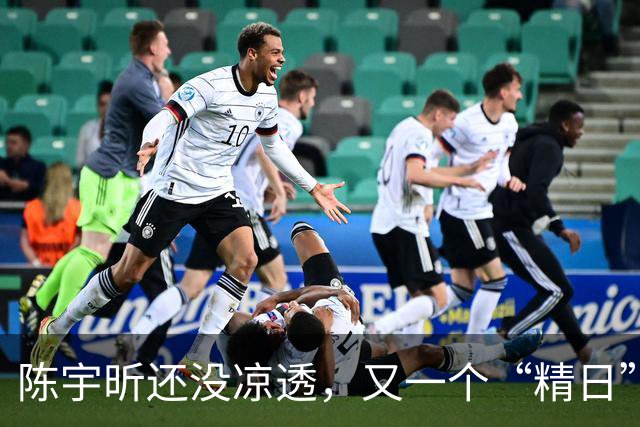 陈宇昕还没凉透，又一个“精日”人员被揪出来，竟然还是企业老板