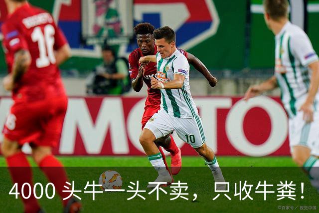 4000 头牛一头不卖，只收牛粪！广西汉靠 “屎” 逆袭，狂赚上亿身家